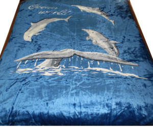 Oswal Woollen Mills Limited (OWM)